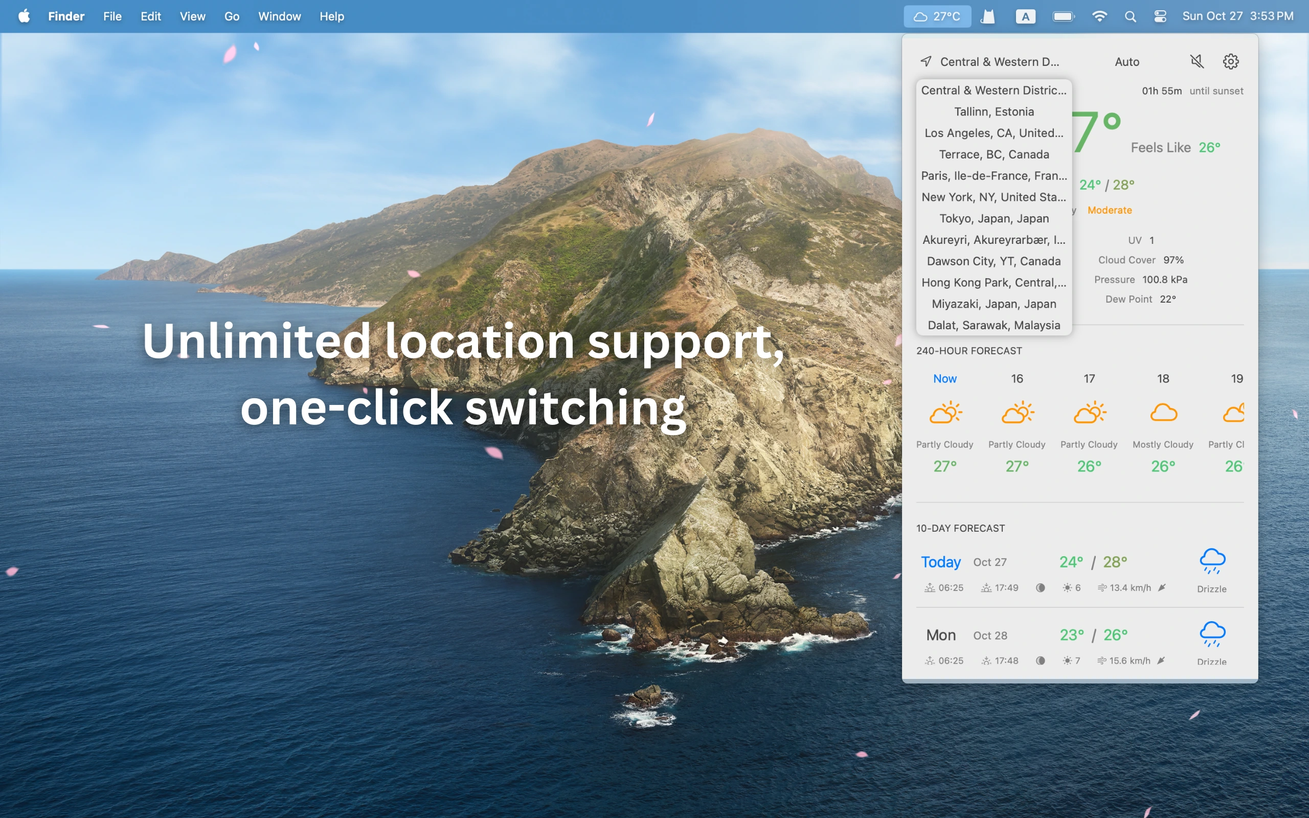 cloudy and falling cherry blossom